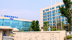 减量增效尊龙中国官网在行动