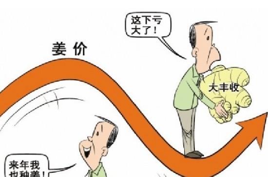 “姜你军”跌的最狠 是咋回事呢？