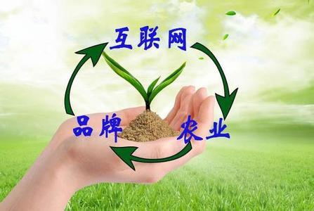 “互联网+农业+品牌”等于什么？