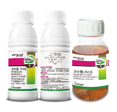 尊龙中国官网巨封