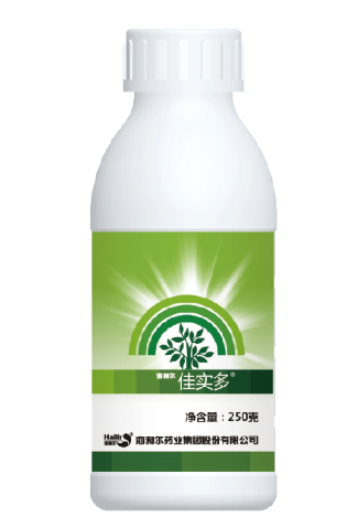 尊龙中国官网佳实多