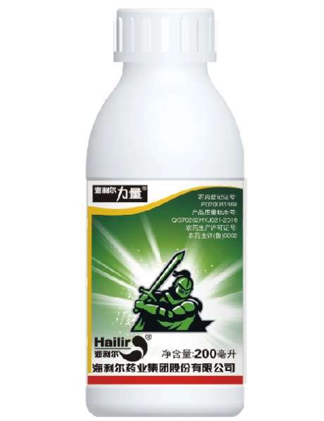 尊龙中国官网力量